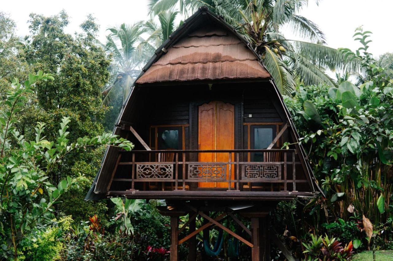 Puri Sunny Camp Munduk Exterior foto