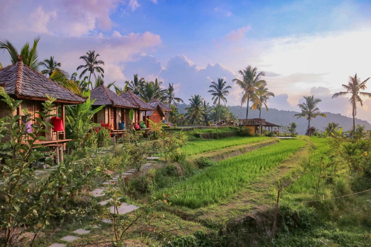 Puri Sunny Camp Munduk Exterior foto